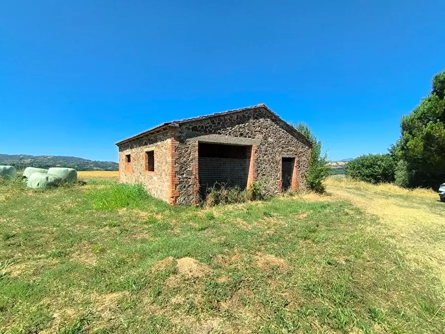 Immagine 31 di Casa colonica in vendita  a Cinigiano