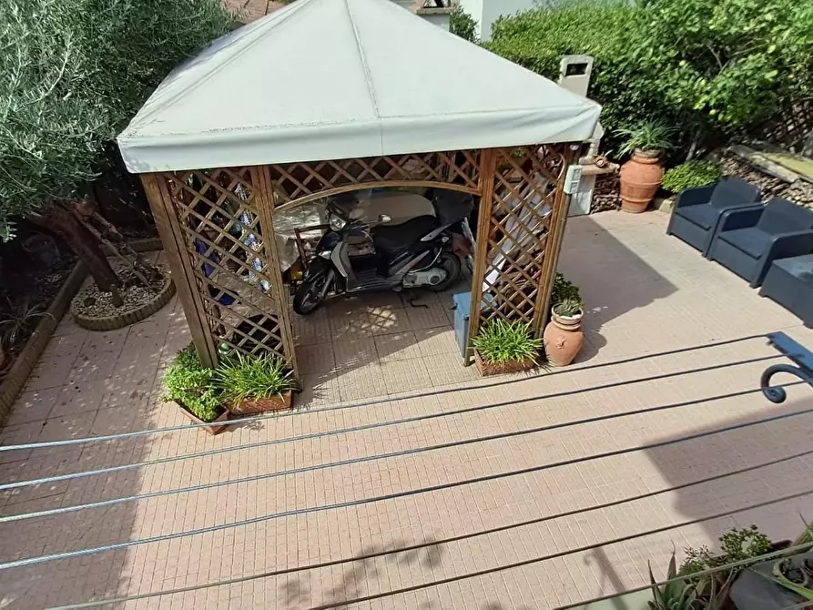 Immagine 35 di Terratetto in vendita  a Cecina