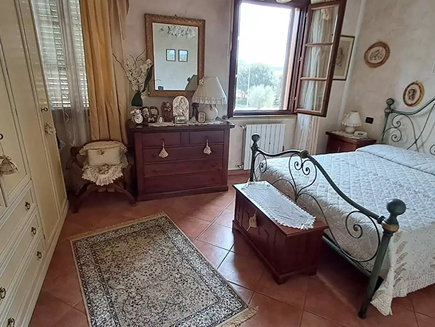 Immagine 17 di Terratetto in vendita  a Cecina