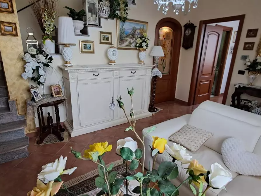 Immagine 12 di Terratetto in vendita  a Cecina