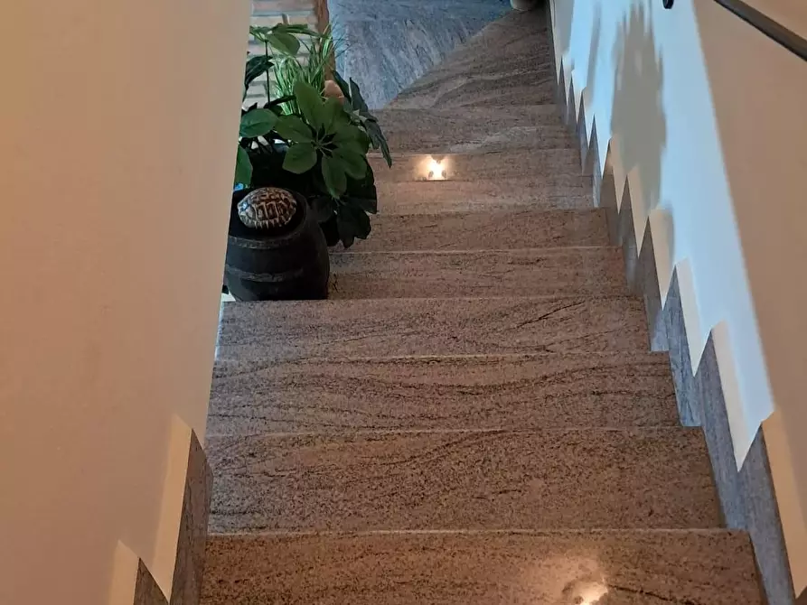 Immagine 26 di Terratetto in vendita  a Cecina