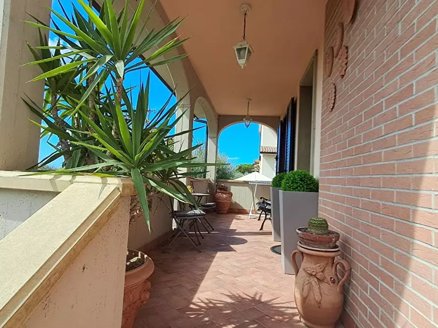 Immagine 9 di Terratetto in vendita  a Cecina