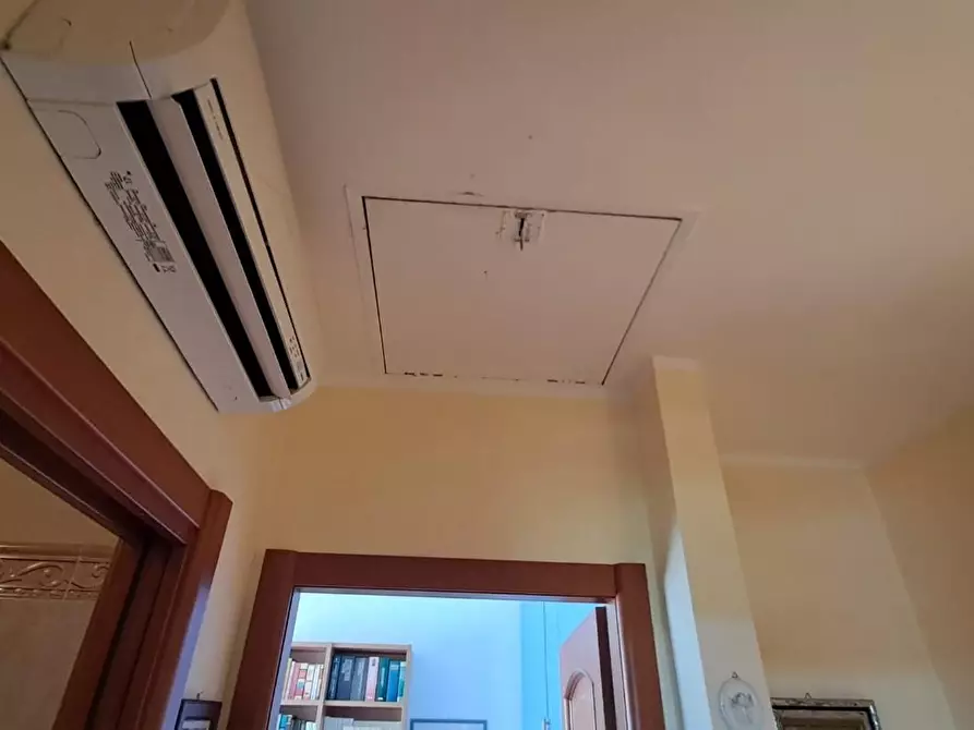 Immagine 24 di Terratetto in vendita  a Cecina