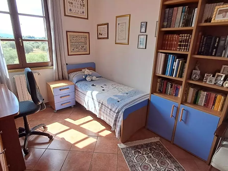 Immagine 21 di Terratetto in vendita  a Cecina