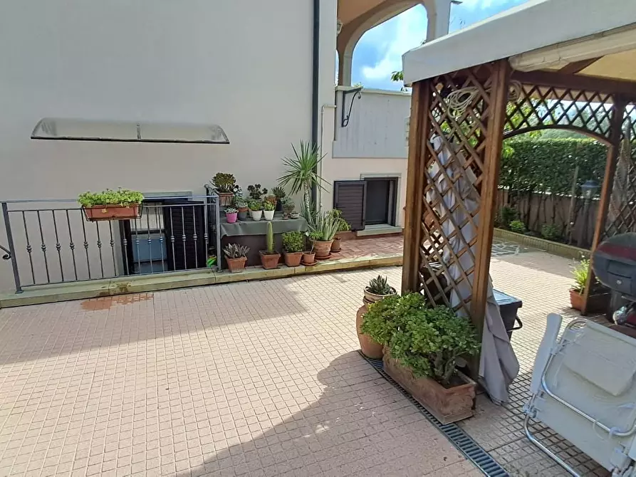 Immagine 31 di Terratetto in vendita  a Cecina