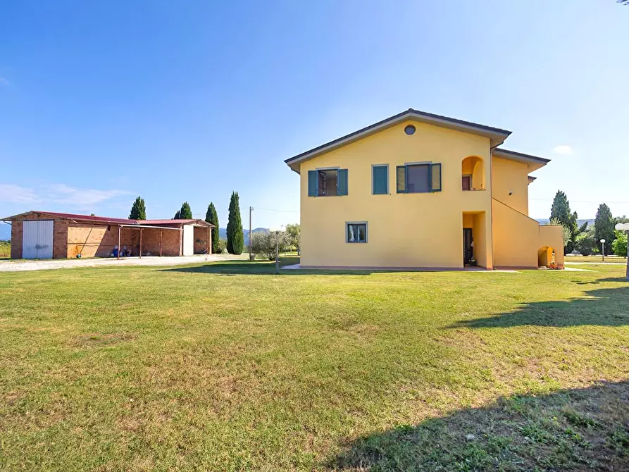 Immagine 9 di Casa bifamiliare in vendita  a Vecchiano