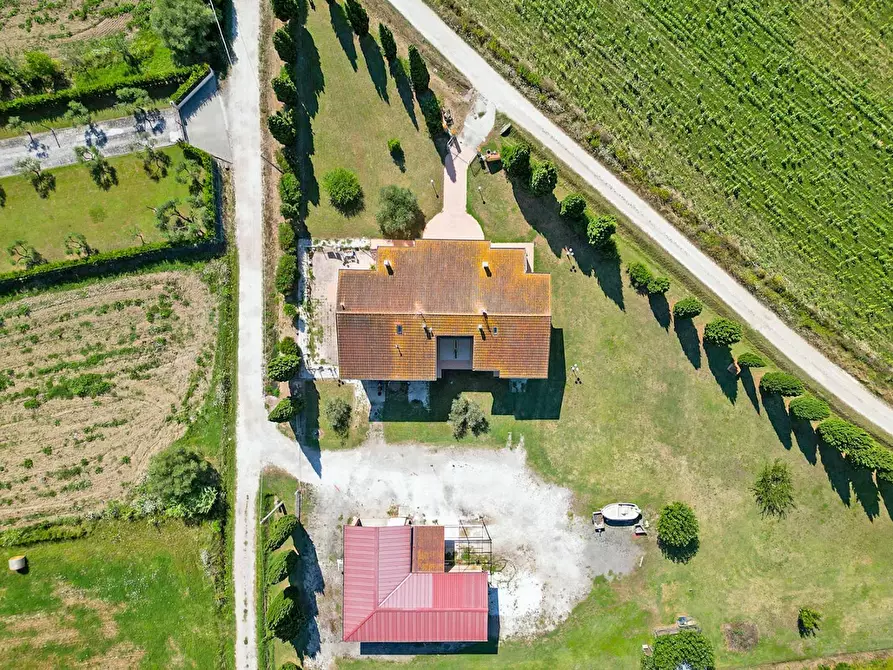 Immagine 4 di Casa bifamiliare in vendita  a Vecchiano