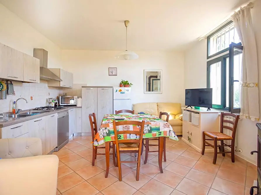 Immagine 19 di Casa bifamiliare in vendita  a Vecchiano