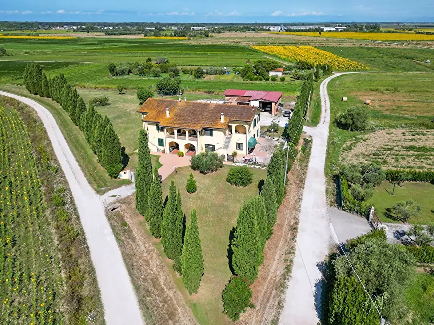 Immagine 5 di Casa bifamiliare in vendita  a Vecchiano