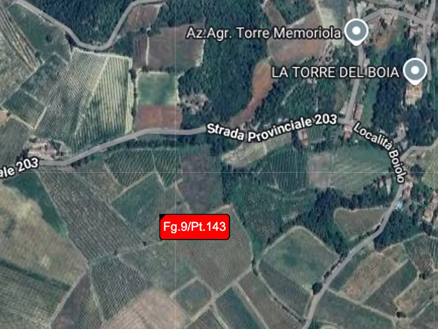 Immagine 1 di Terreno agricolo in vendita  a Borgoratto Mormorolo