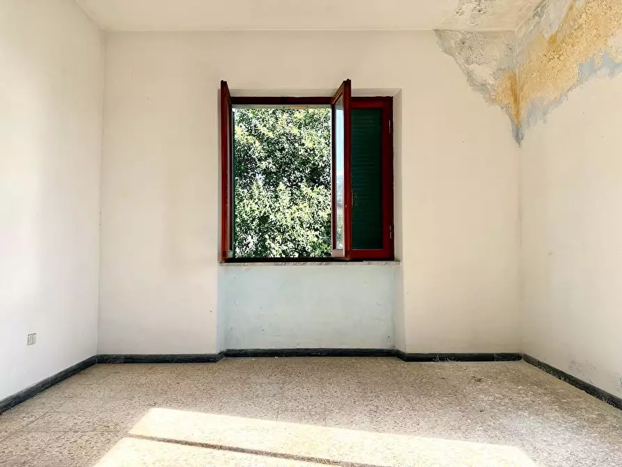 Immagine 2 di Casa bifamiliare in vendita  a Massa