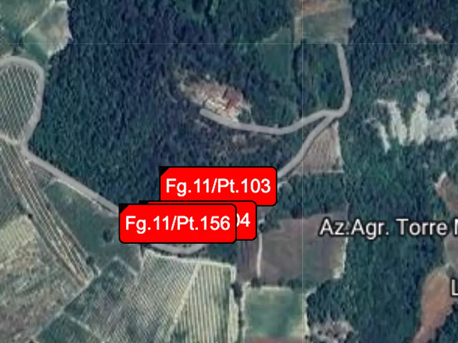 Immagine 1 di Terreno agricolo in vendita  a Borgoratto Mormorolo