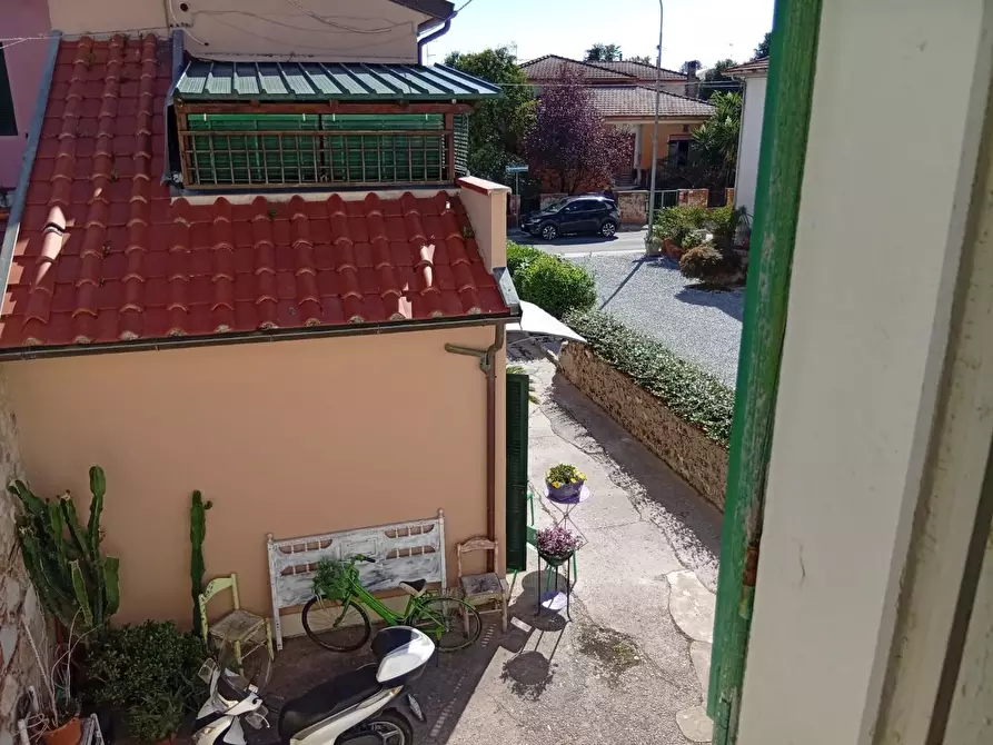 Immagine 9 di Terratetto in vendita  a Vecchiano