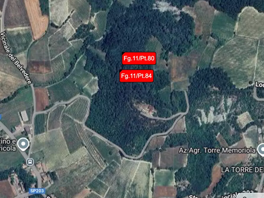 Immagine 1 di Terreno agricolo in vendita  a Borgoratto Mormorolo