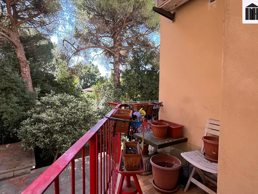 Immagine 31 di Appartamento in vendita  a Santa Croce Sull'arno