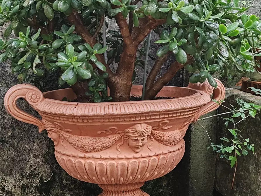 Immagine 7 di Terratetto in vendita  a Massa