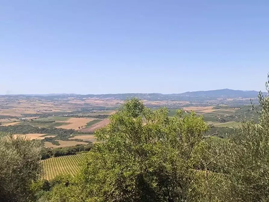 Immagine 11 di Appartamento in vendita  a Montalcino