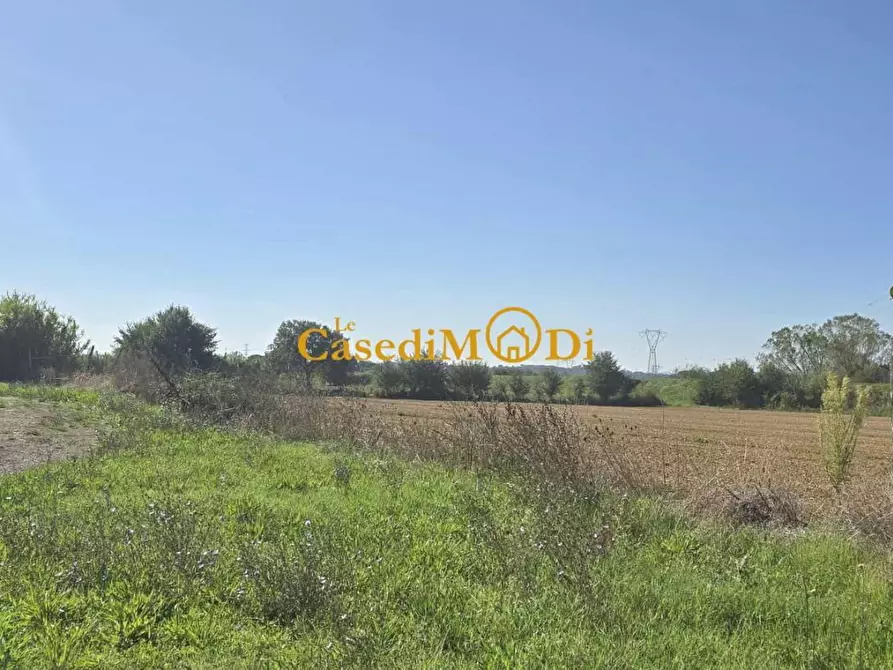 Immagine 8 di Casa colonica in vendita  a Crespina Lorenzana