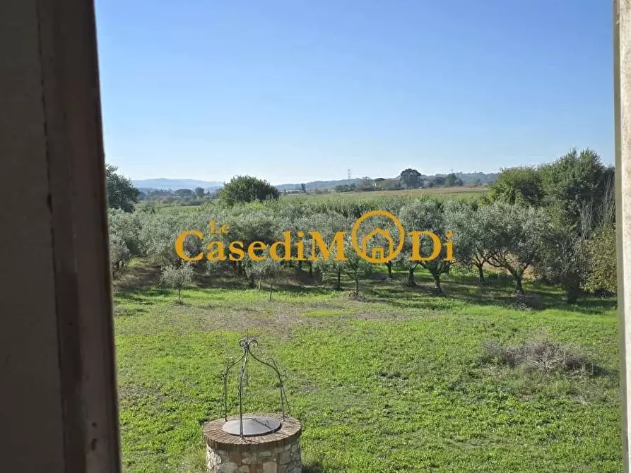 Immagine 6 di Casa colonica in vendita  a Crespina Lorenzana