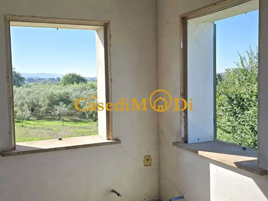 Immagine 15 di Casa colonica in vendita  a Crespina Lorenzana