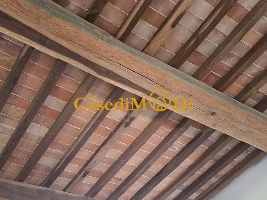 Immagine 17 di Casa colonica in vendita  a Crespina Lorenzana