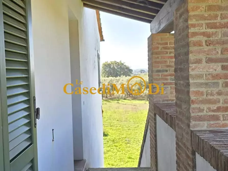 Immagine 5 di Casa colonica in vendita  a Crespina Lorenzana