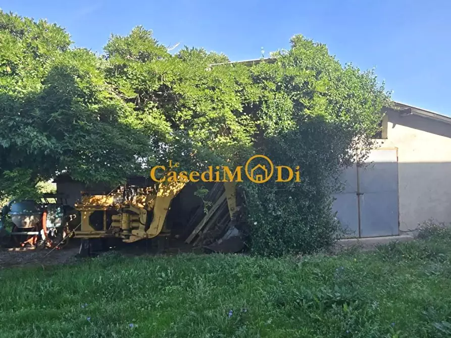 Immagine 9 di Casa colonica in vendita  a Crespina Lorenzana