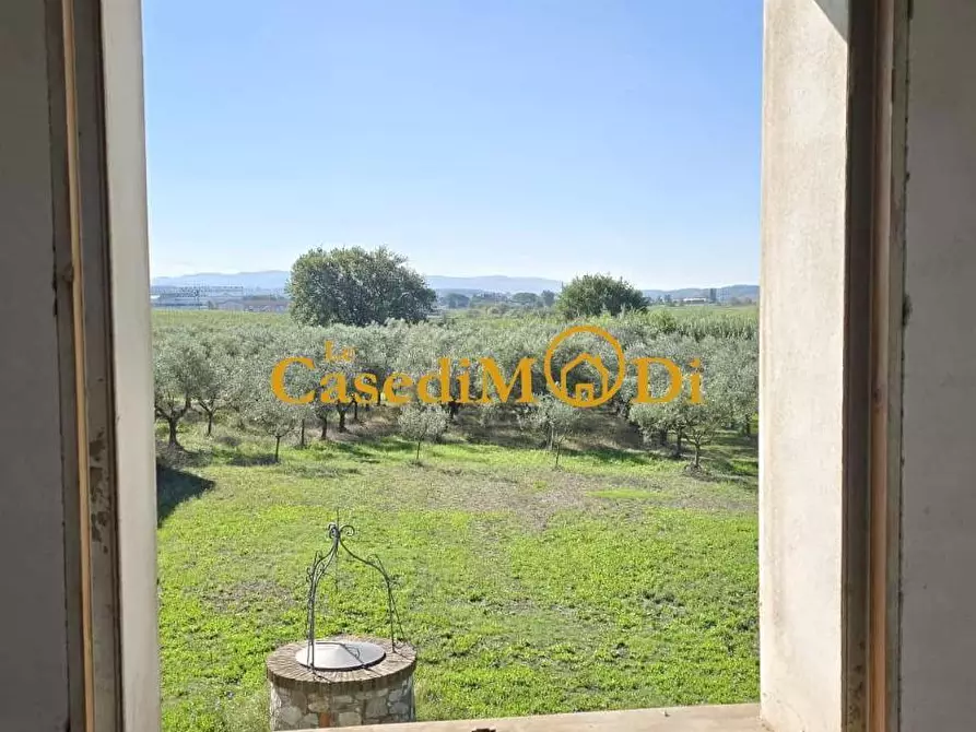 Immagine 11 di Casa colonica in vendita  a Crespina Lorenzana