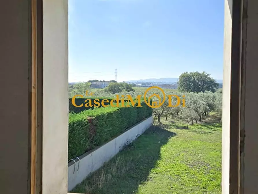 Immagine 20 di Casa colonica in vendita  a Crespina Lorenzana