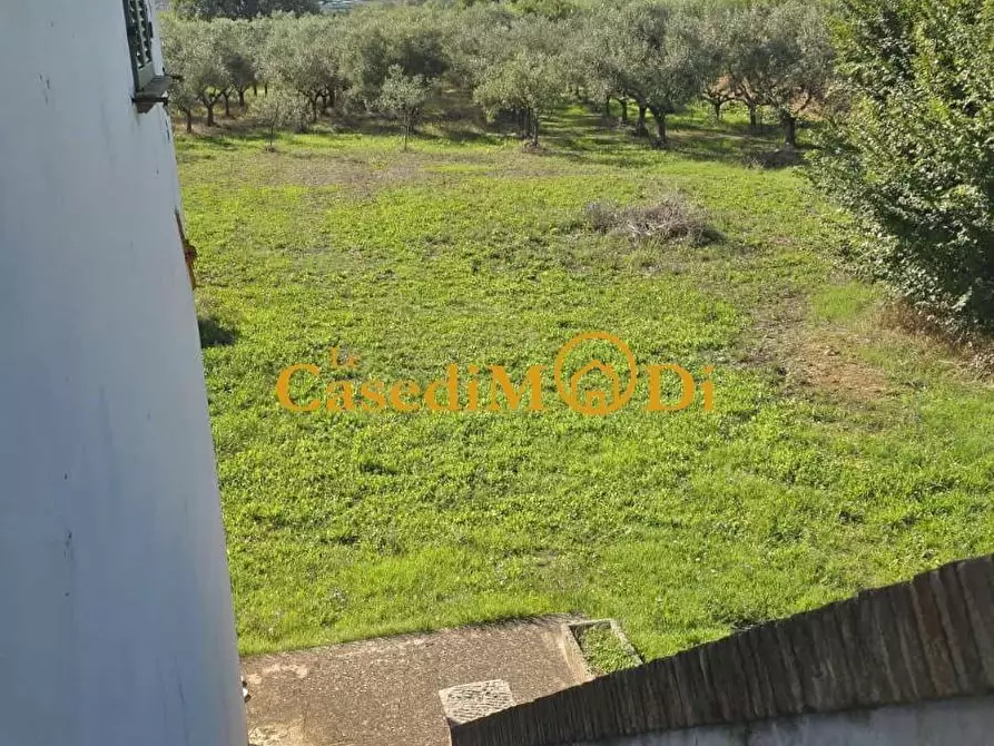 Immagine 10 di Casa colonica in vendita  a Crespina Lorenzana