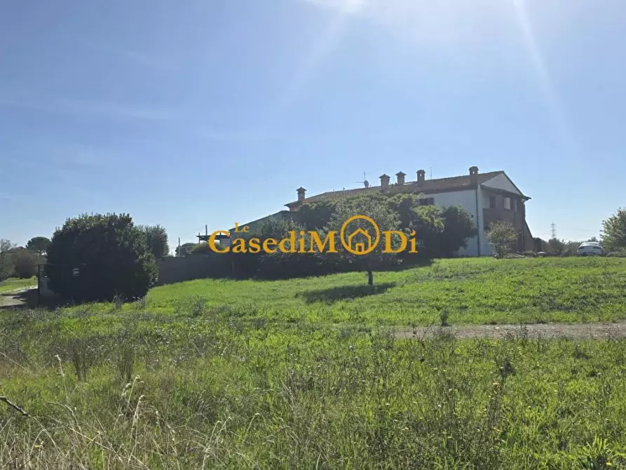 Immagine 3 di Casa colonica in vendita  a Crespina Lorenzana