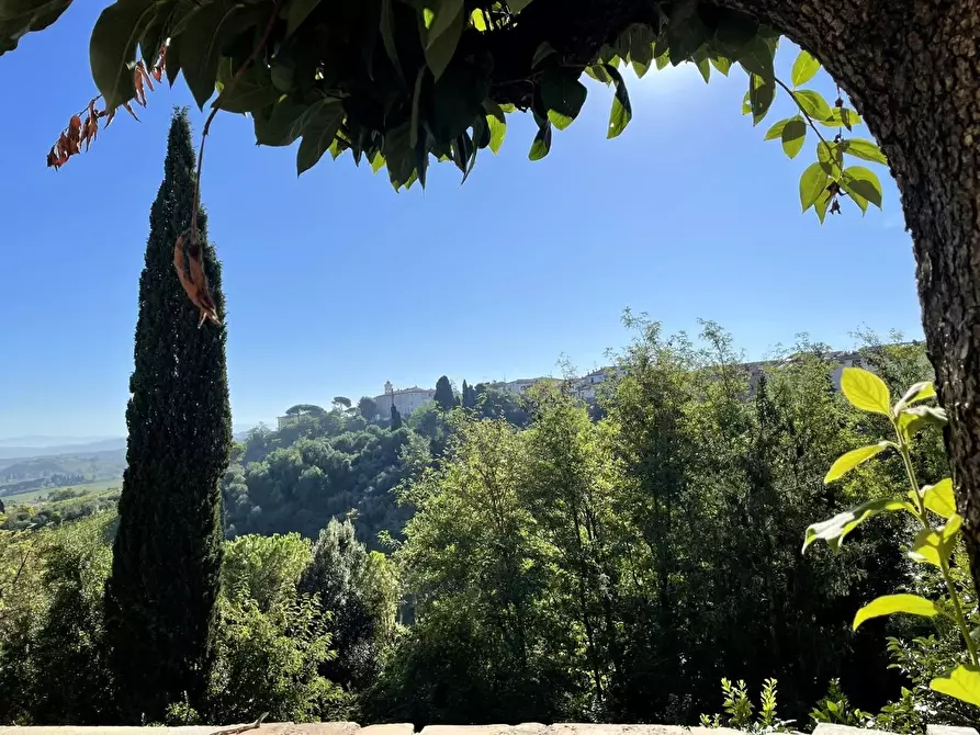 Immagine 2 di Terratetto in vendita  a San Miniato