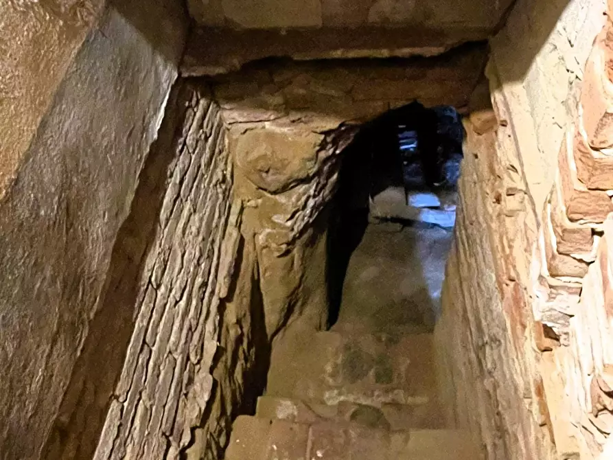 Immagine 30 di Terratetto in vendita  a San Miniato