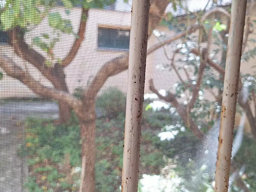 Immagine 5 di Negozio in vendita  a Livorno