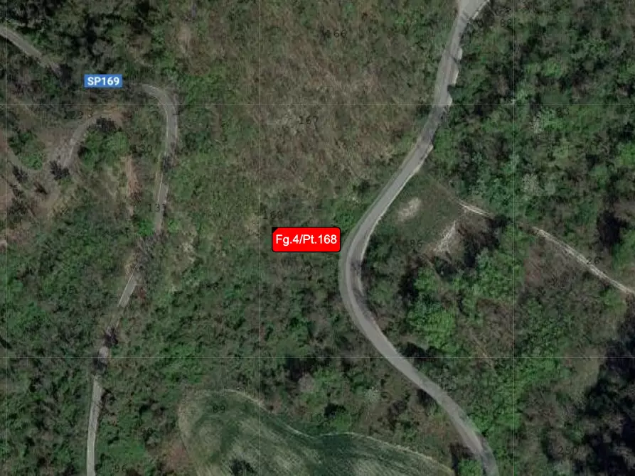 Immagine 1 di Terreno agricolo in vendita  a Fortunago