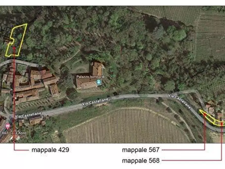 Immagine 2 di Terreno agricolo in vendita  a Santa Giuletta