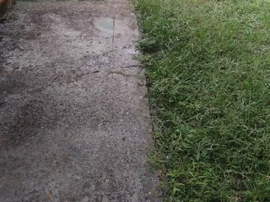 Immagine 17 di Appartamento in affitto  a Massa