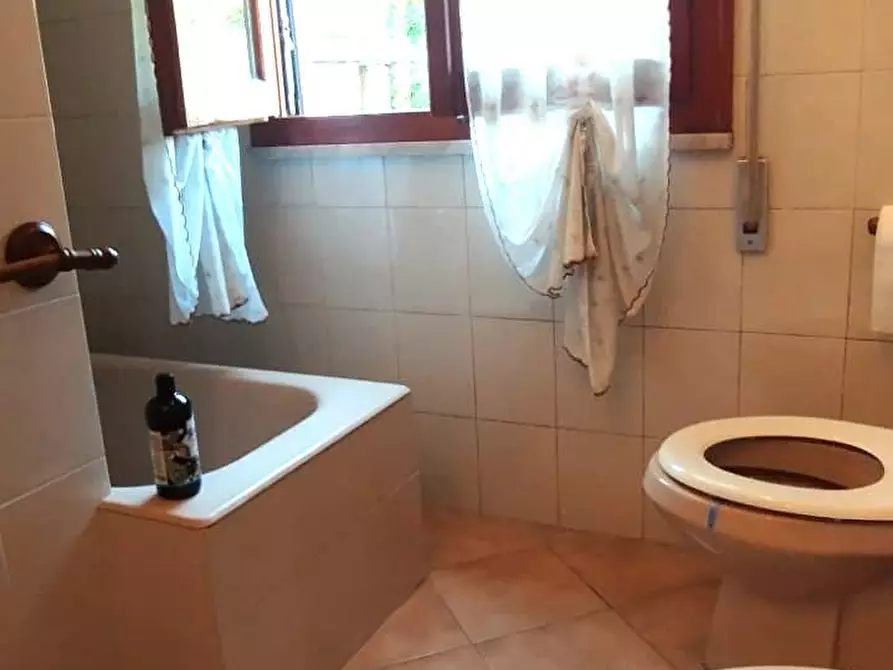 Immagine 11 di Appartamento in affitto  a Massa