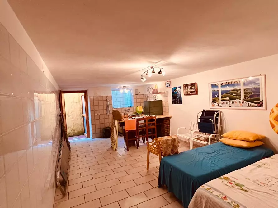 Immagine 27 di Appartamento in vendita  a Bibbona