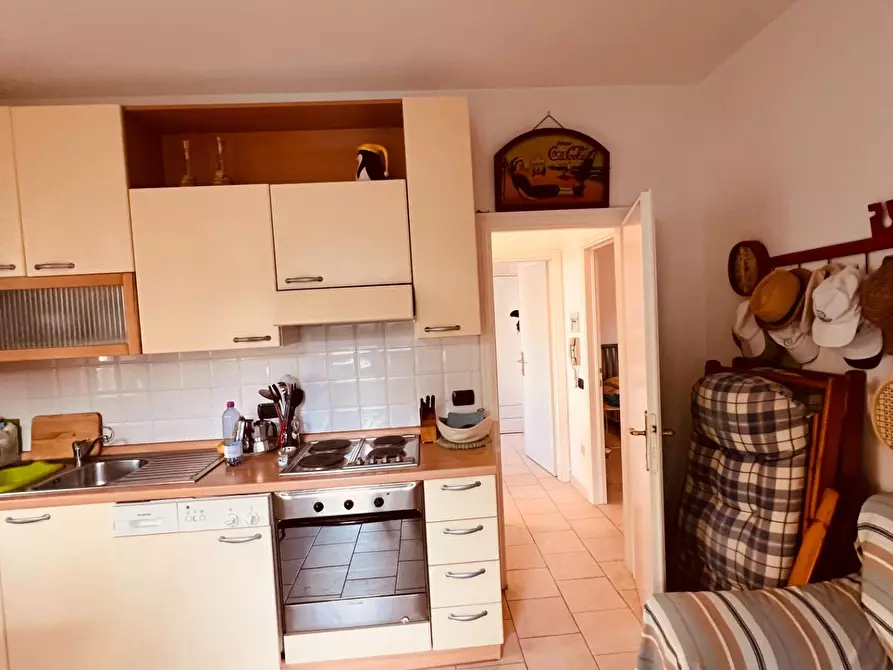 Immagine 6 di Appartamento in vendita  a Bibbona