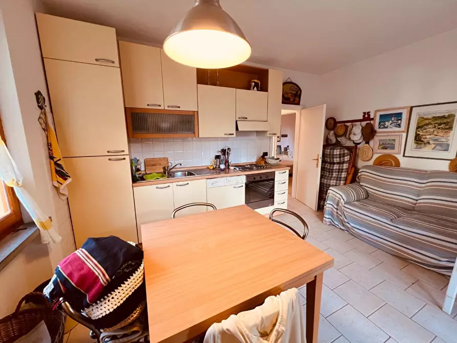 Immagine 5 di Appartamento in vendita  a Bibbona