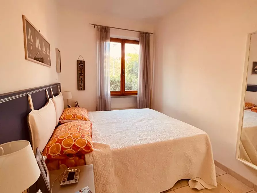 Immagine 9 di Appartamento in vendita  a Bibbona