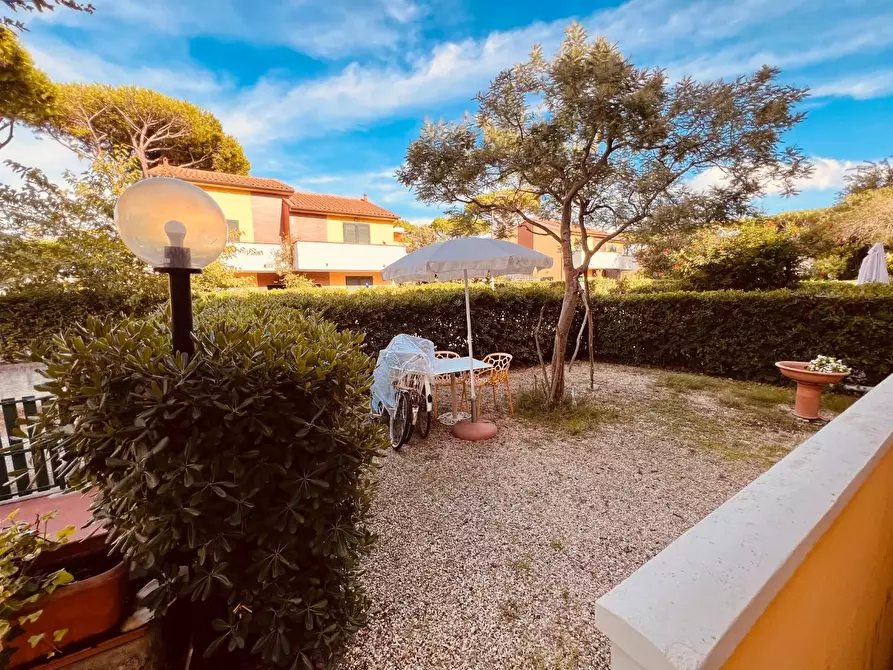 Immagine 19 di Appartamento in vendita  a Bibbona