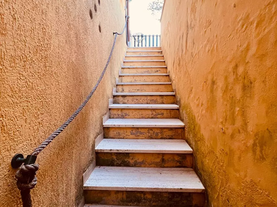 Immagine 22 di Appartamento in vendita  a Bibbona