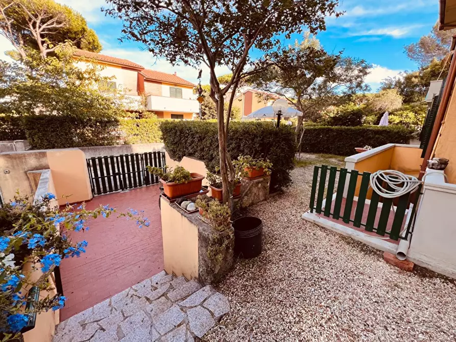 Immagine 2 di Appartamento in vendita  a Bibbona