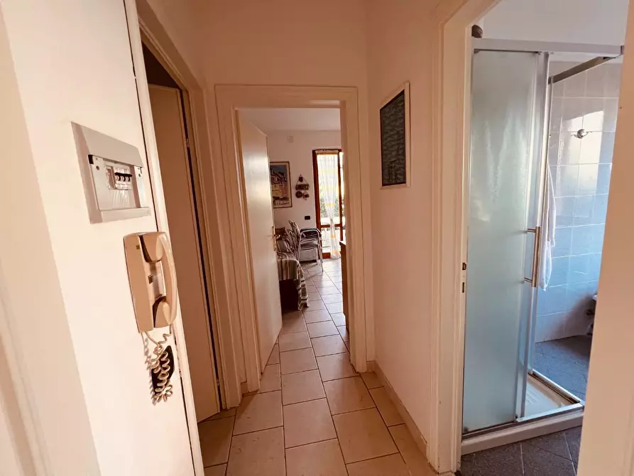 Immagine 12 di Appartamento in vendita  a Bibbona