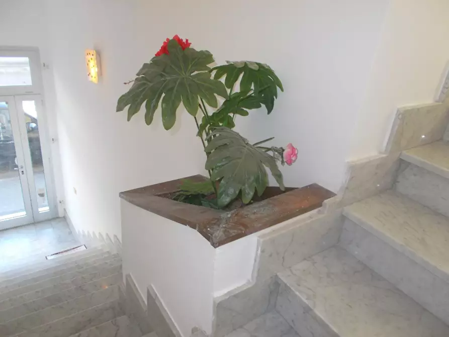 Immagine 4 di Ufficio in affitto  a Pontedera