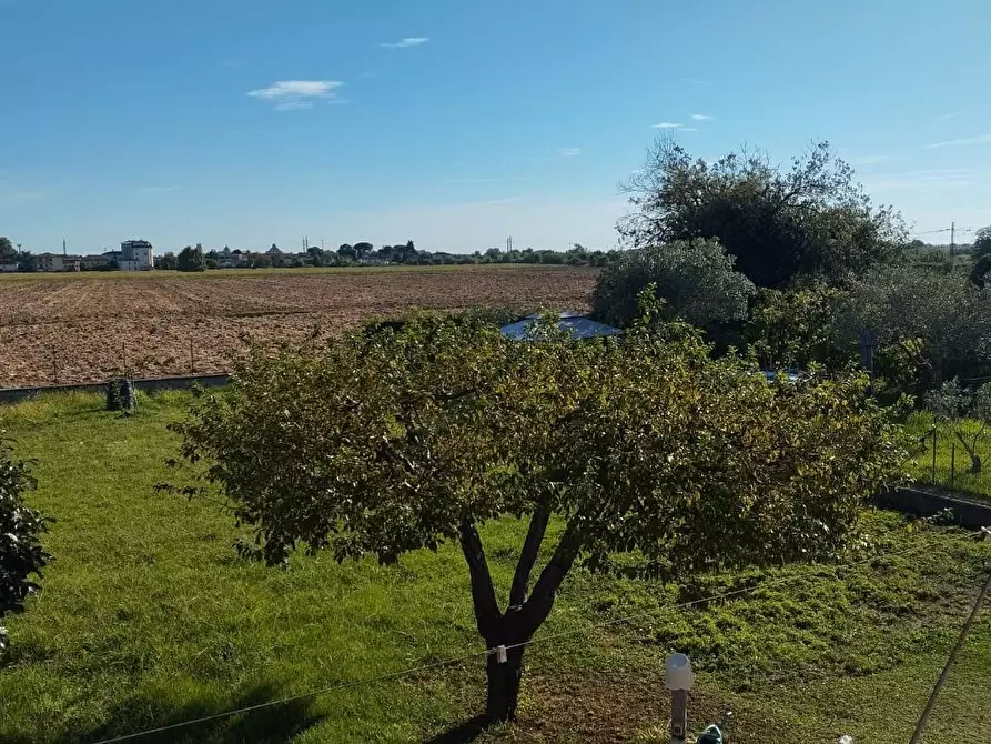 Immagine 7 di Villa in vendita  a San Giuliano Terme