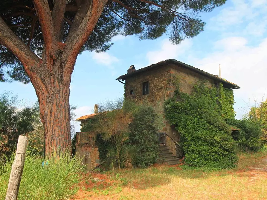 Immagine 2 di Casa colonica in vendita  a Vinci
