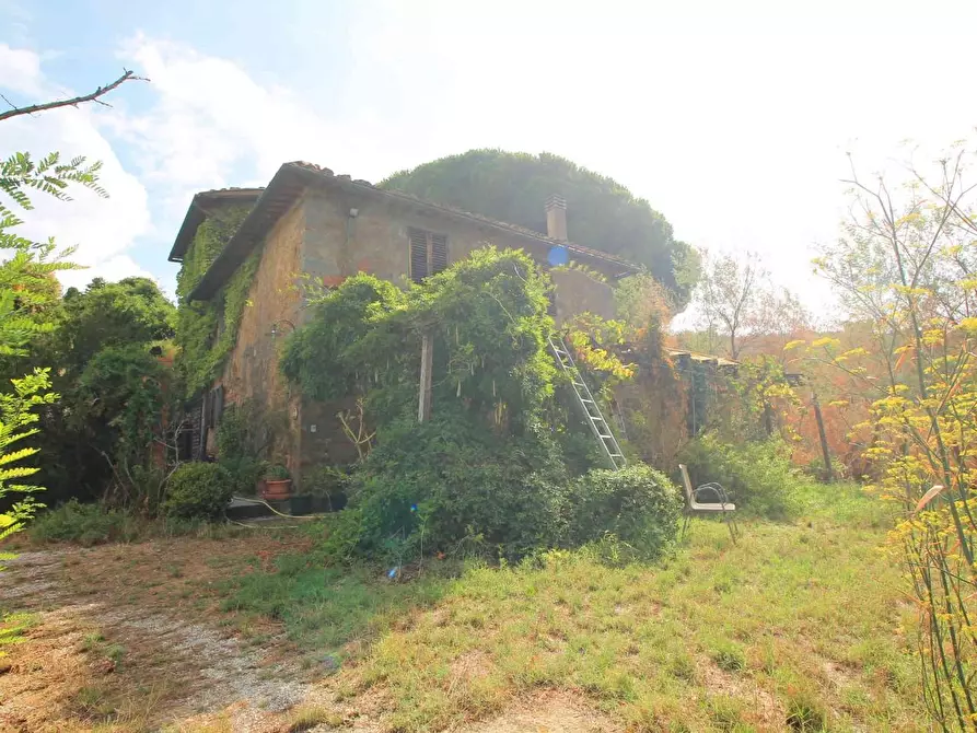 Immagine 8 di Casa colonica in vendita  a Vinci
